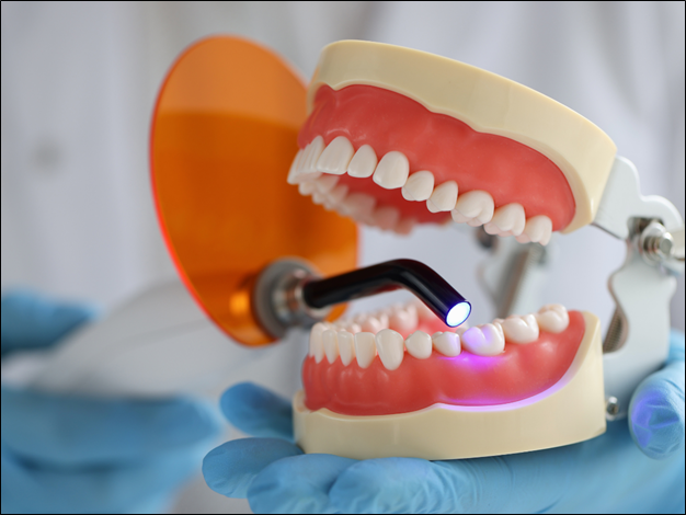 Dental Care and Maintenance