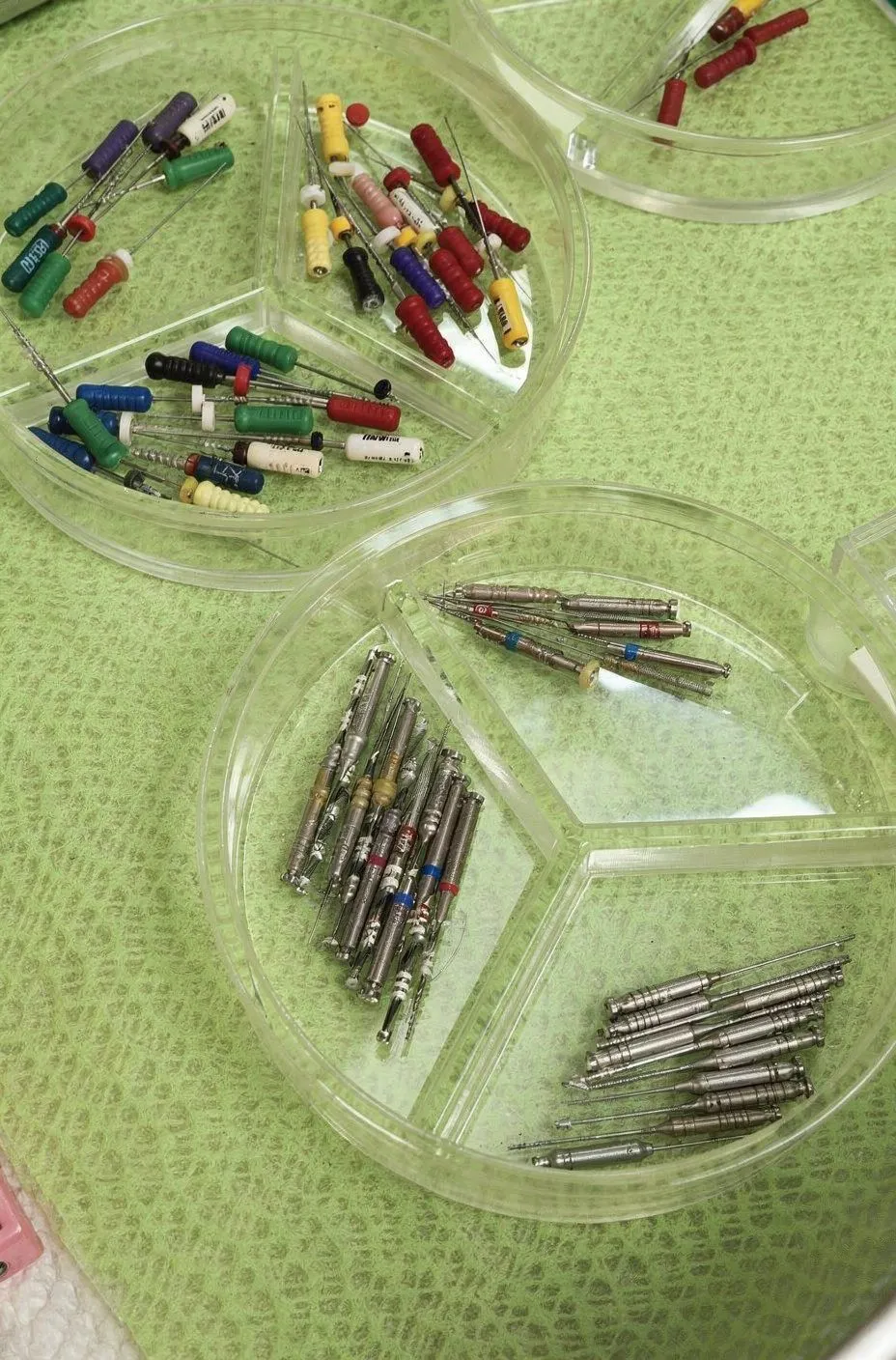 Overhead view of two Petri dish trays on green surface filled with colour-coded endodontic files and reamers